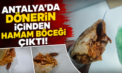 Antalya'da dönerin içinden hamam böceği çıktı!