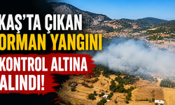 Kaş'ta çıkan orman yangını kontrol altına alındı!
