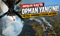 Antalya Kaş'ta orman yangını! Fırtına yangının etkisini artırdı