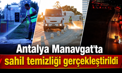 Antalya Manavgat'ta sahil temizliği gerçekleştirildi
