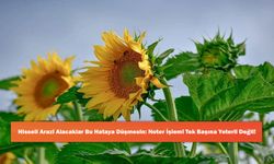 Hisseli Arazi Alacaklar Bu Hataya Düşmesin: Noter İşlemi Tek Başına Yeterli Değil!