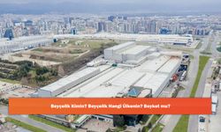 Beyçelik Kimin? Beyçelik Hangi Ülkenin? Boykot mu?
