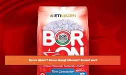Boron Kimin? Boron Hangi Ülkenin? Boykot mu?