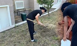 Burdur'da topluma faydalı ceza: Adliye bahçesine 10 fidan dikti