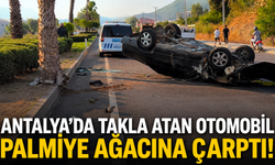 Antalya'da takla atan otomobil palmiye ağacına çarptı!