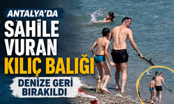 Antalya'da sahile vuran kılıç balığı denize geri bırakıldı