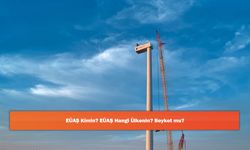 EÜAŞ Kimin? EÜAŞ Hangi Ülkenin? Boykot mu?