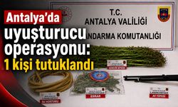 Antalya'da uyuşturucu operasyonu: 1 kişi tutuklandı