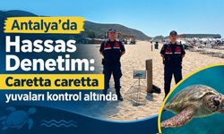 Antalya'da hassas denetim: Caretta caretta yuvaları kontrol altında