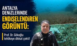 Antalya denizlerinde endişelendiren görüntü: Deniz tabanı kahverengi tabakayla kaplandı