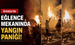 Antalya’da eğlence mekanında yangın paniği: Yapay palmiye ağacı alev aldı