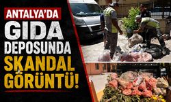 Antalya'da gıda deposunda skandal görüntü: 152 kilo ete el konuldu