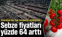 Antalya'da hal endeksi açıklandı: Sebze fiyatları yüzde 64 arttı