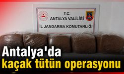 Antalya’da kaçak tütün operasyonu: Kilolarca ele geçirildi