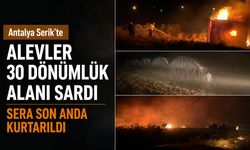 Antalya Serik’te alevler 30 dönümlük alanı sardı: Sera son anda kurtarıldı