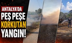 Antalya'da peş peşe yangın: Ağaçlar ve saman balyaları zarar gördü