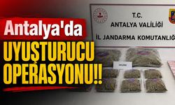 Antalya'da uyuşturucu operasyonu: Yüklü miktarda skunk esrar ele geçirildi