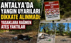 Antalya'da yangın uyarıları dikkate alınmadı: Yasaklara rağmen ateş yaktılar