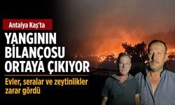 Kaş orman yangınında, evler, seralar ve zeytinlikler zarar gördü