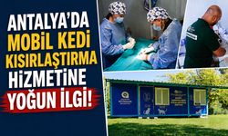 Antalya'da mobil kedi kısırlaştırma hizmetine yoğun ilgi!
