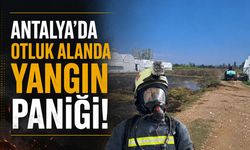Antalya'da otluk alanda yangın paniği!