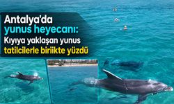 Antalya'da yunus heyecanı: Kıyıya yaklaşan yunus tatilcilerle birlikte yüzdü