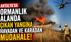 Antalya'da ormanlık alanda çıkan yangına havadan ve karadan müdahale!