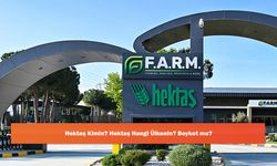Hektaş Kimin? Hektaş Hangi Ülkenin? Boykot mu?