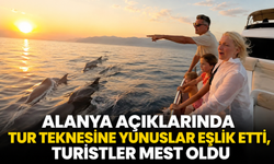 Alanya açıklarında tur teknesine yunuslar eşlik etti, turistler mest oldu
