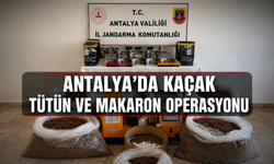 Antalya'da kaçak tütün ve makaron operasyonu