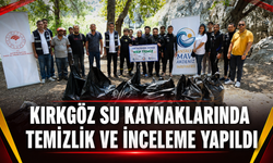 Kırkgöz su kaynaklarında temizlik ve inceleme yapıldı