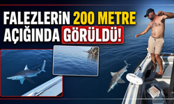 Falezlerin 200 metre açığında görüldü!