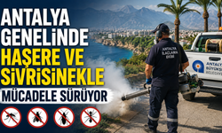 Antalya genelinde haşere ve sivrisinekle mücadele sürüyor