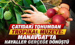 Çatıdaki tohumdan tropikal müzeye: Manavgat'ta hayaller gerçeğe dönüştü