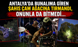 Antalya'da bunalıma giren şahıs çam ağacına tırmandı, onunla da bitmedi...