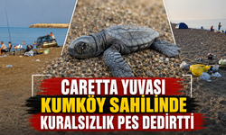 Caretta yuvası Kumköy sahilinde kuralsızlık pes dedirtti