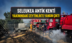 Seleukea Antik kenti yakınındaki zeytinlikte yangın çıktı