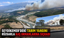 Seydikemer'deki tarım yangını rüzgarla Kaş ormanlarına sıçradı