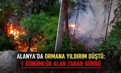 Antalya'da ormana yıldırım düştü: 1 dönümlük alan zarar gördü