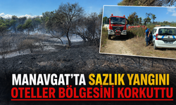 Manavgat'ta sazlık yangını oteller bölgesini korkuttu