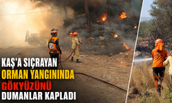 Kaş'a sıçrayan orman yangınında gökyüzünü dumanlar kapladı