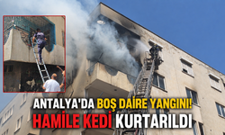 Antalya'da boş daire yangını! Hamile kedi kurtarıldı