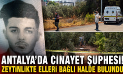 Antalya'da cinayet şüphesi! Zeytinlikte elleri bağlı halde bulundu