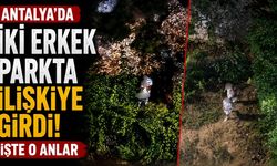 Antalya'da iki erkek parkta ilişkiye girdi! İşte o anlar