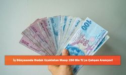 İş Dünyasında Dudak Uçuklatan Maaş: 250 Bin TL’ye Çalışan Aranıyor!