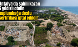 Antalya'da sahili kazan 5 yıldızlı otelin kaplumbağa dostu sertifikası iptal edildi!