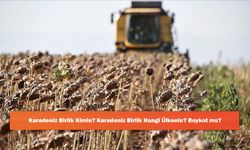 Karadeniz Birlik Kimin? Karadeniz Birlik Hangi Ülkenin? Boykot mu?