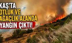 Kaş’ta otluk ve ağaçlık alanda yangın çıktı!