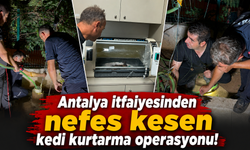 Antalya itfaiyesinden nefes kesen kedi kurtarma operasyonu!