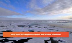 Kuzey Kutbu'nda Dengeler Altüst Oldu: İklim Krizinde Yeni Dönem!